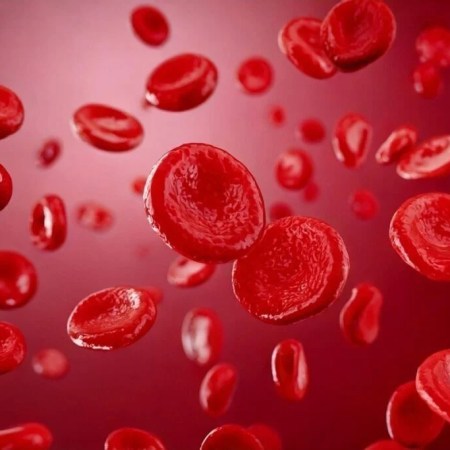 Ilustração microscópica de células sanguíneas mostrando glóbulos brancos anormais típicos da leucemia.