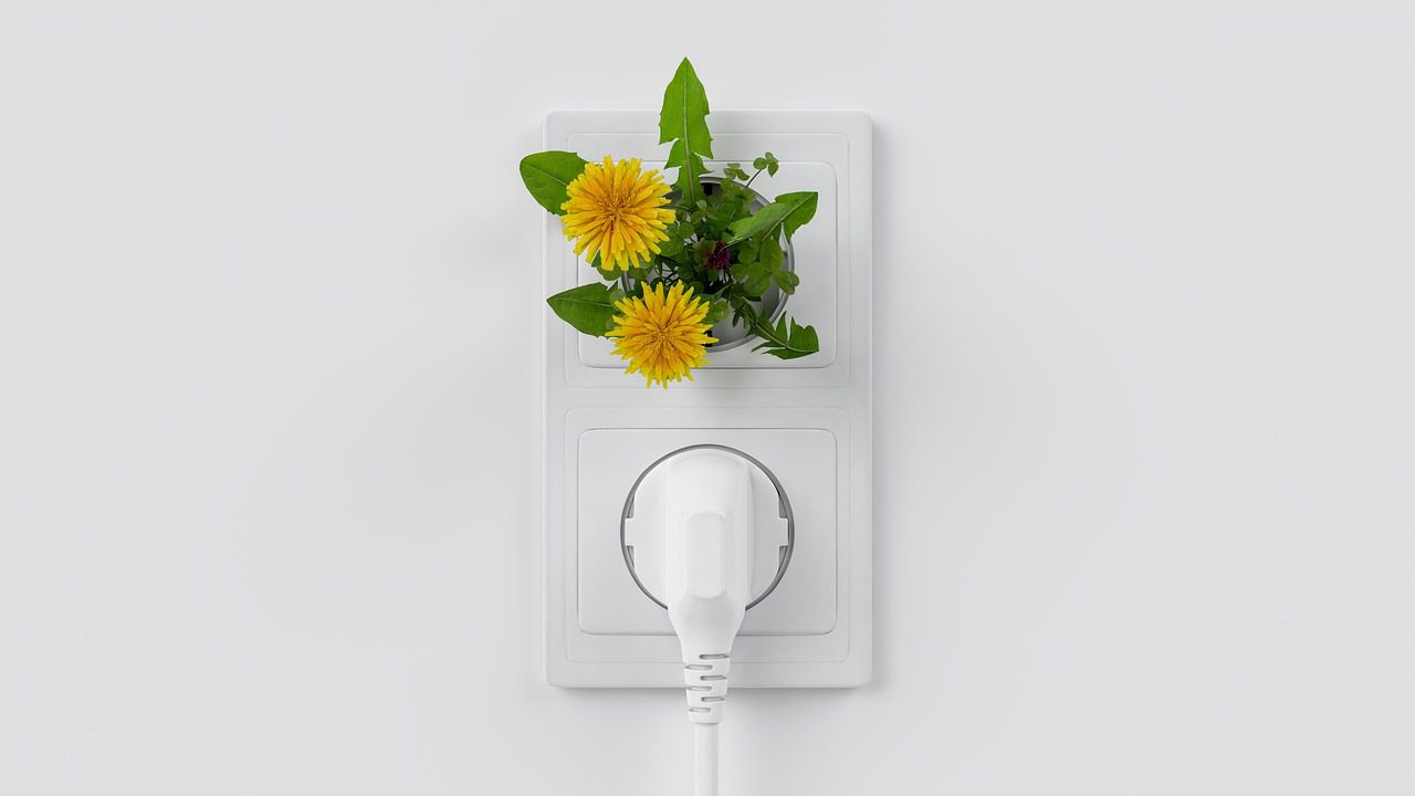 Mais de 500 brasileiros perdem o pênis por ano: entenda perigo do HPV