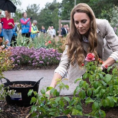 Kate Middleton planta rosa no Jardim de Bem‑Estar no Hospital Colchester, celebrando a cura natural e o poder da natureza.